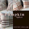 Pumpkin & Spice Home Decor Earth Tone Paisley Pillows